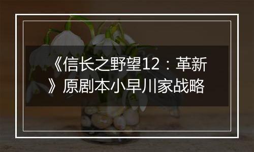 《信长之野望12：革新》原剧本小早川家战略