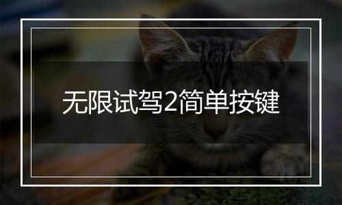无限试驾2简单按键