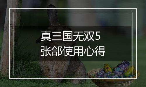 真三国无双5 张郃使用心得