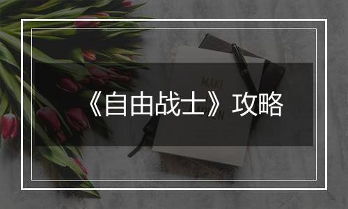《自由战士》攻略