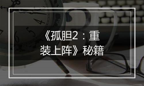 《孤胆2：重装上阵》秘籍