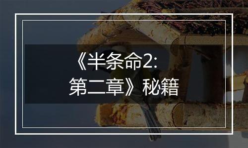 《半条命2:第二章》秘籍