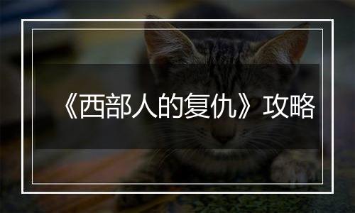 《西部人的复仇》攻略