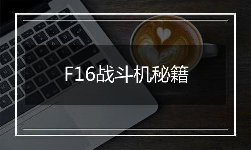 F16战斗机秘籍