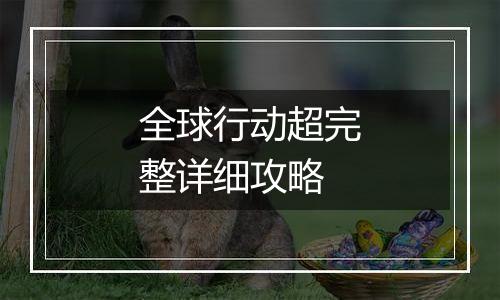 全球行动超完整详细攻略