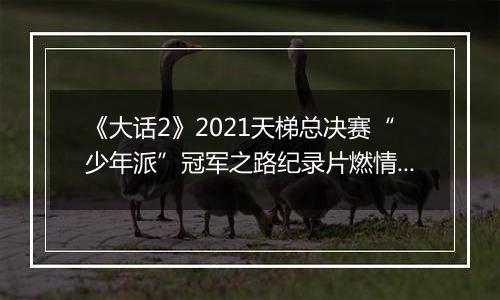 《大话2》2021天梯总决赛“少年派”冠军之路纪录片燃情发布