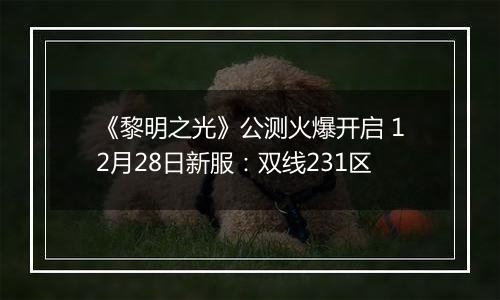 《黎明之光》公测火爆开启 12月28日新服：双线231区