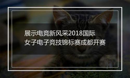 展示电竞新风采2018国际女子电子竞技锦标赛成都开赛