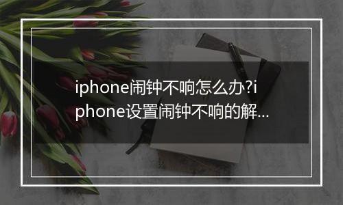 iphone闹钟不响怎么办?iphone设置闹钟不响的解决方法