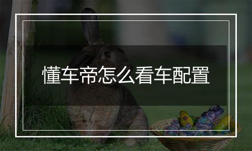 懂车帝怎么看车配置