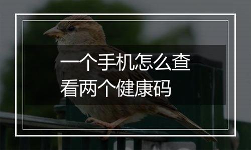 一个手机怎么查看两个健康码