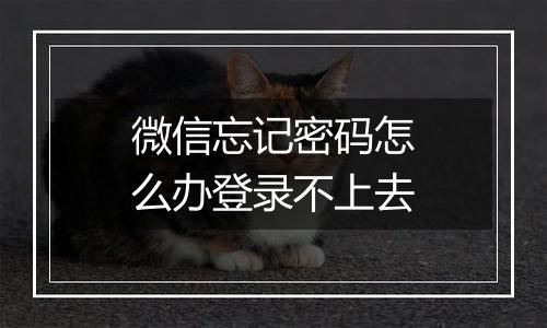 微信忘记密码怎么办登录不上去