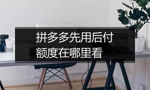 拼多多先用后付额度在哪里看