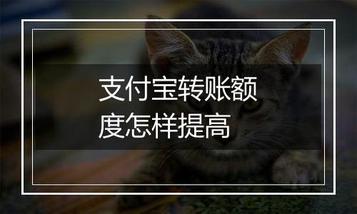 支付宝转账额度怎样提高