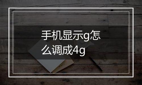 手机显示g怎么调成4g