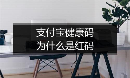 支付宝健康码为什么是红码