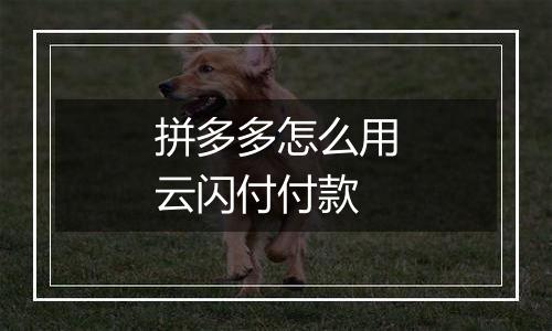 拼多多怎么用云闪付付款