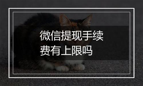 微信提现手续费有上限吗