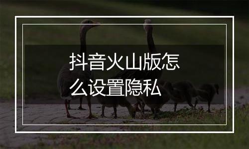 抖音火山版怎么设置隐私