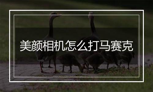 美颜相机怎么打马赛克