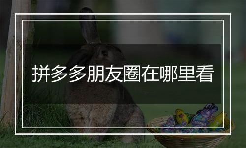 拼多多朋友圈在哪里看