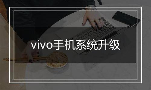 vivo手机系统升级