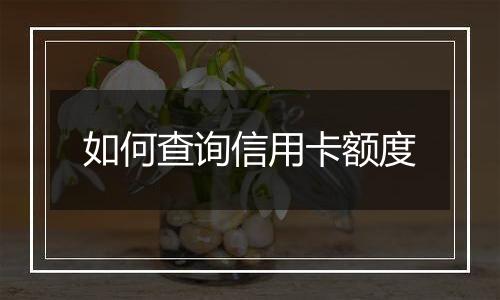 如何查询信用卡额度