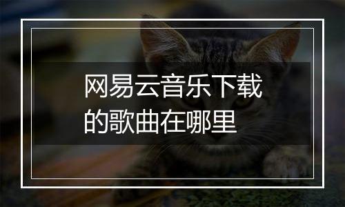 网易云音乐下载的歌曲在哪里