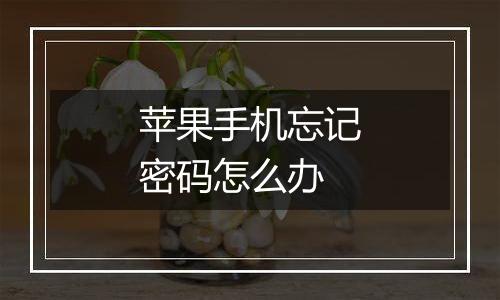 苹果手机忘记密码怎么办