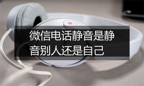 微信电话静音是静音别人还是自己