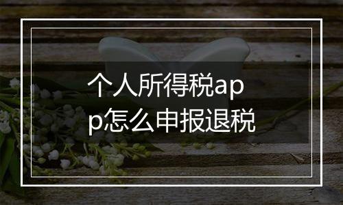 个人所得税app怎么申报退税