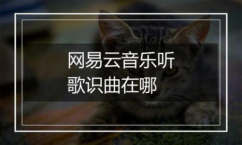 网易云音乐听歌识曲在哪