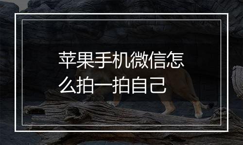 苹果手机微信怎么拍一拍自己