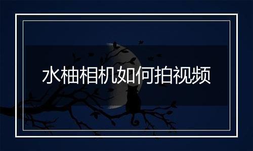 水柚相机如何拍视频