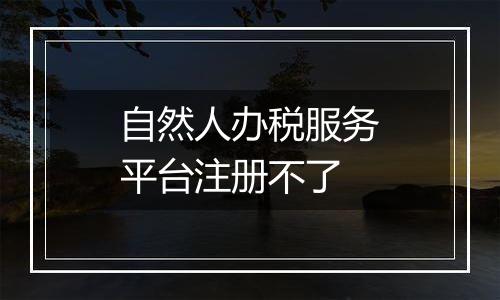 自然人办税服务平台注册不了