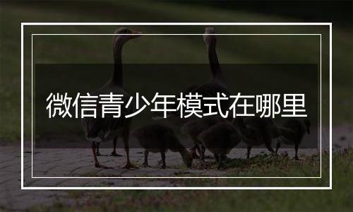 微信青少年模式在哪里