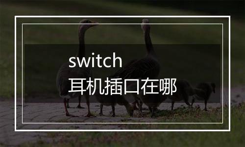 switch耳机插口在哪