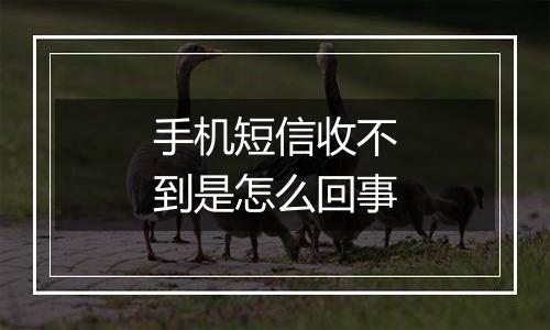 手机短信收不到是怎么回事