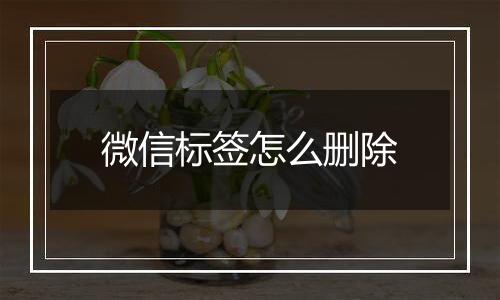 微信标签怎么删除