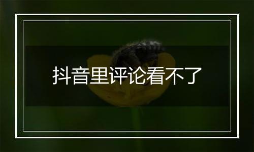 抖音里评论看不了