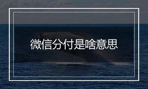 微信分付是啥意思