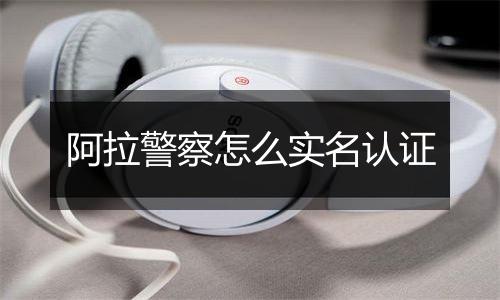 阿拉警察怎么实名认证