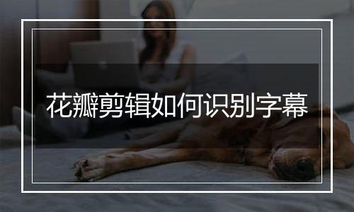 花瓣剪辑如何识别字幕