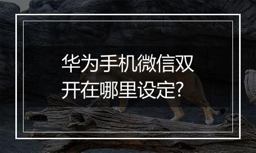 华为手机微信双开在哪里设定?