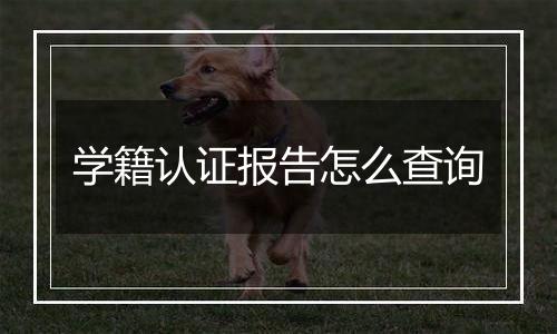 学籍认证报告怎么查询