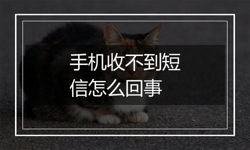 手机收不到短信怎么回事