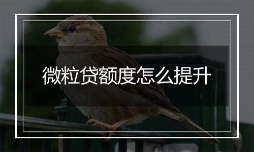 微粒贷额度怎么提升