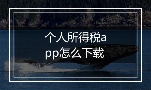 个人所得税app怎么下载