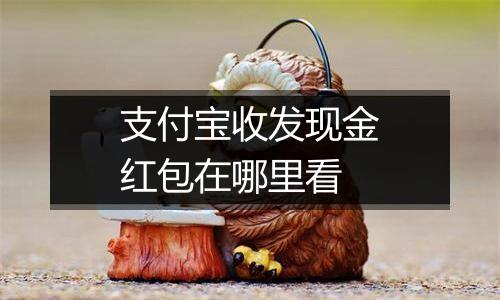 支付宝收发现金红包在哪里看