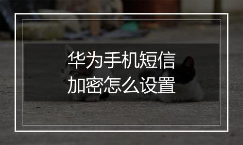 华为手机短信加密怎么设置